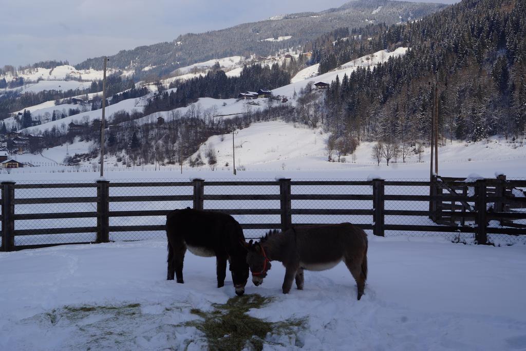 Bio-Bauernhof Reiterhof Villa Sankt Johann im Pongau Bagian luar foto